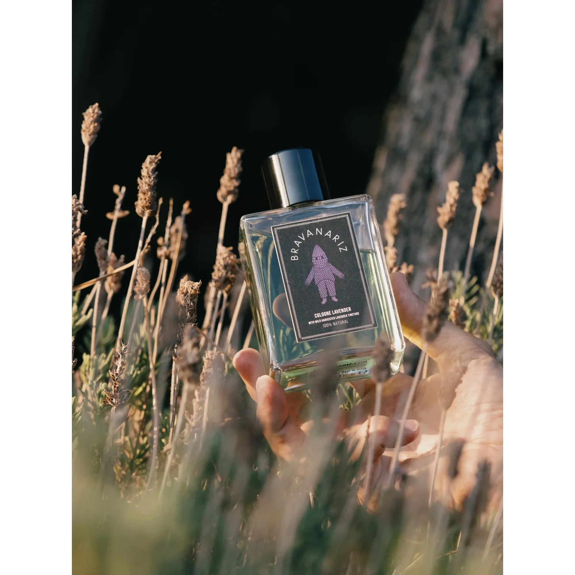 Cologne Lavanda - Image 3