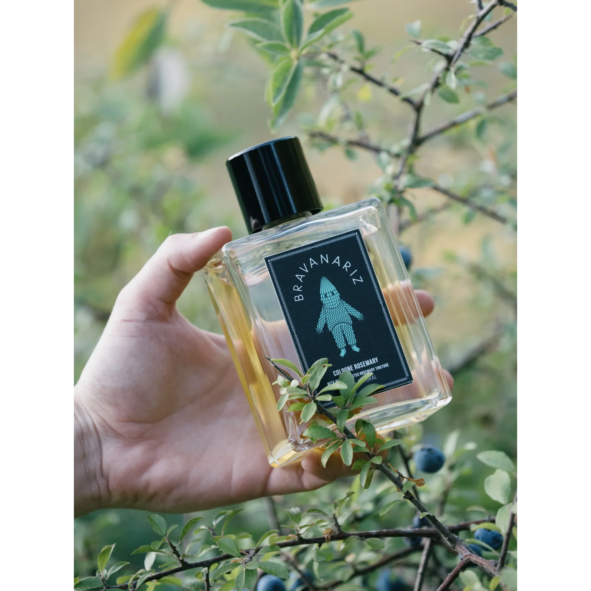 Cologne Rosemary - Image 4