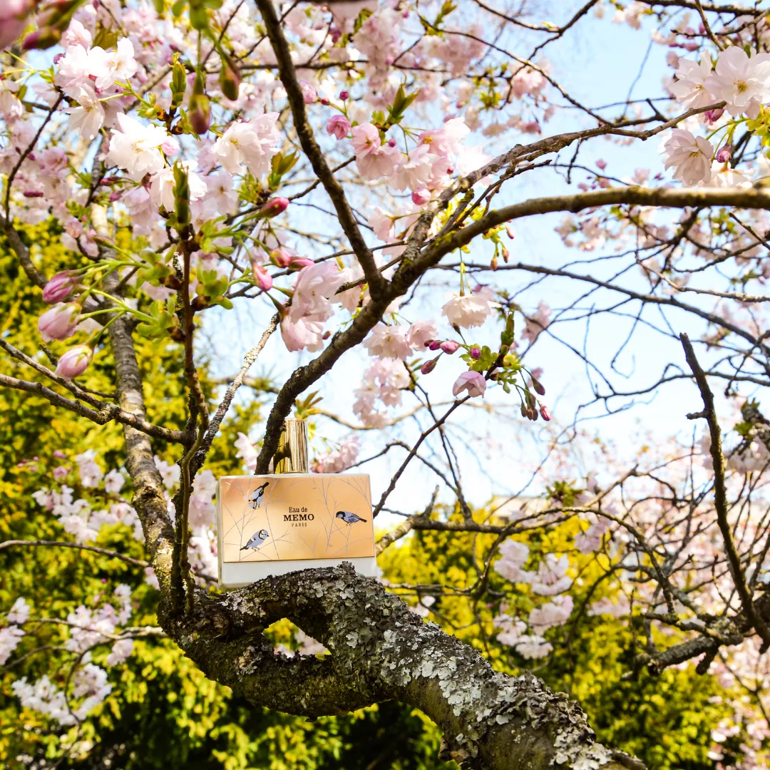 Eau De Memo - Image 3