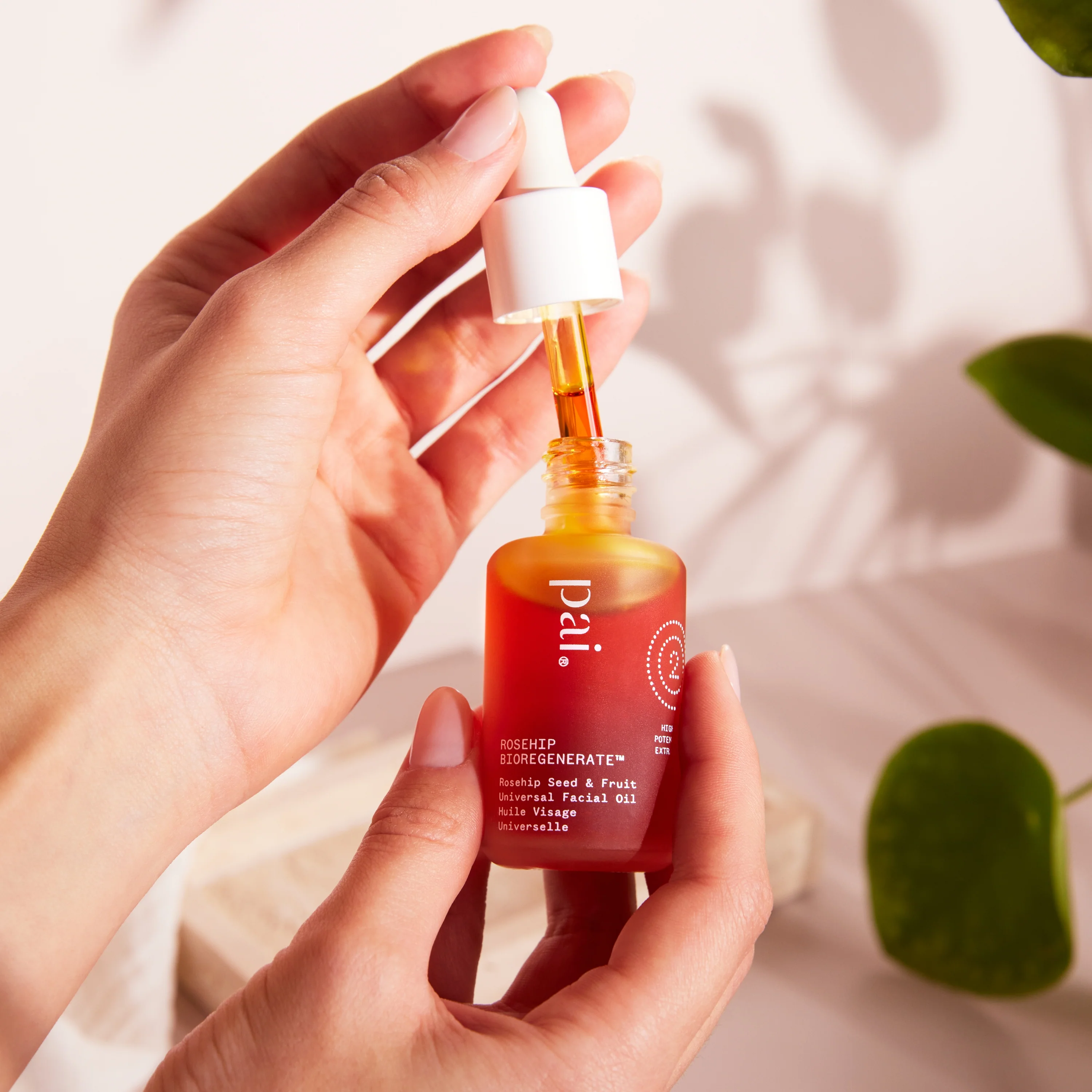 Rosehip Bioregenerate Face Oil - Image 3