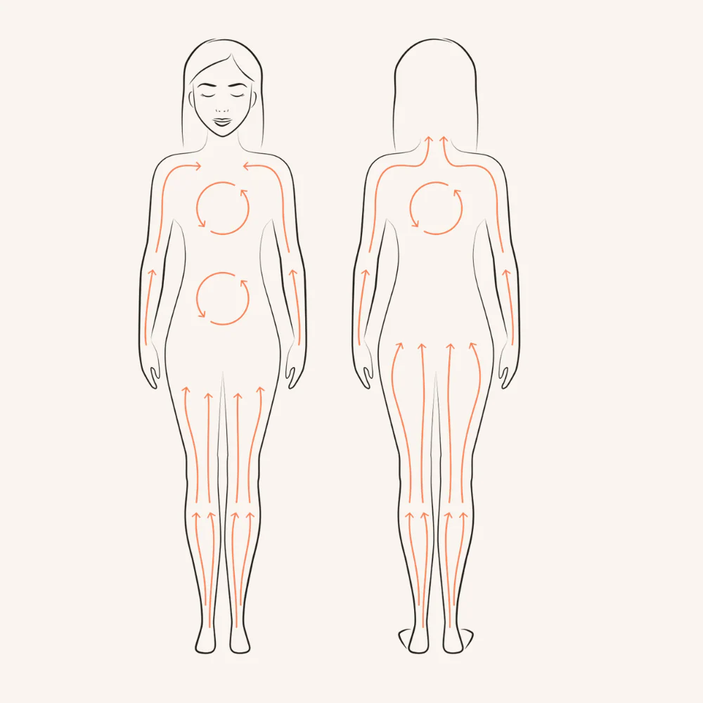 The Dry Brush - Image 3