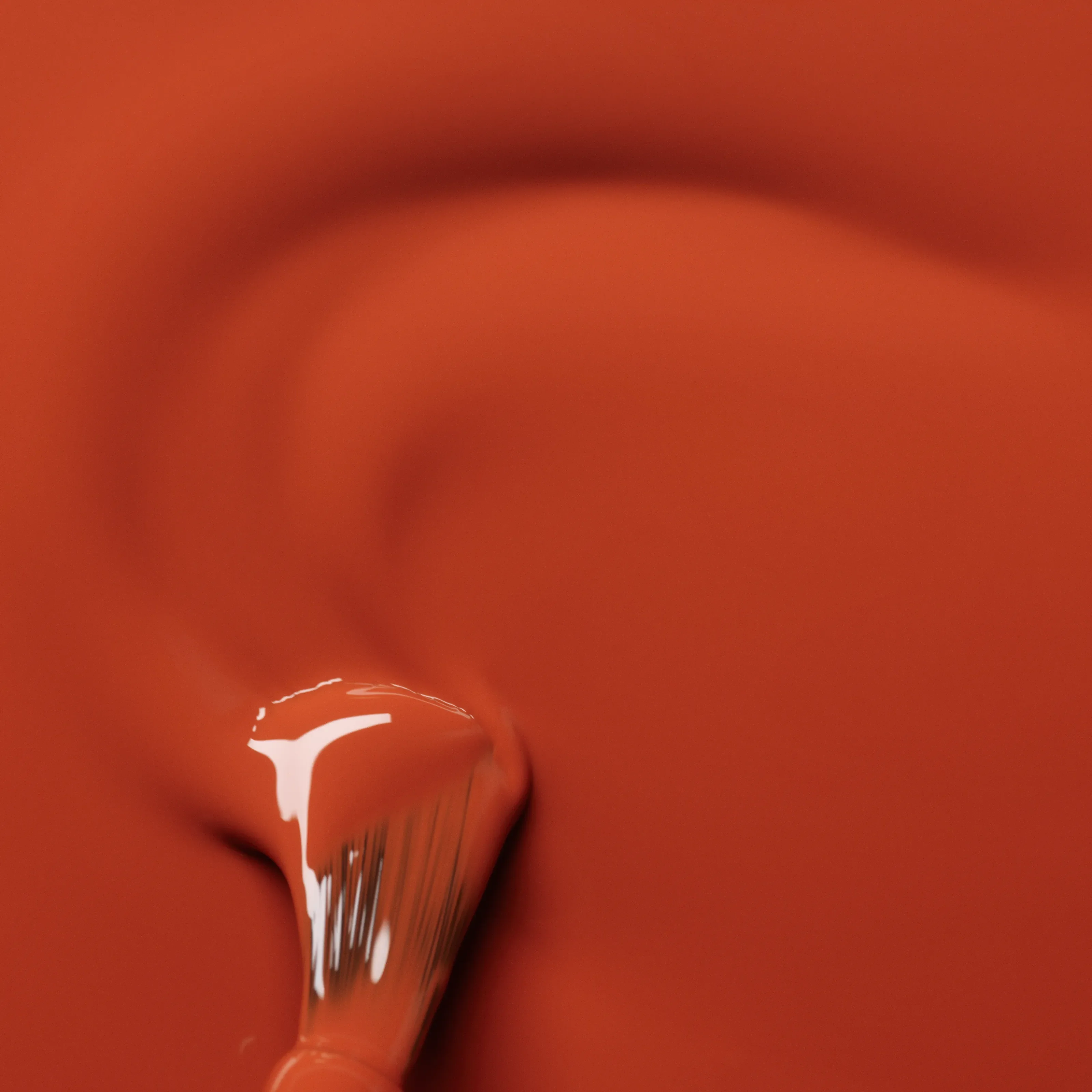 Green Flash - Image 21