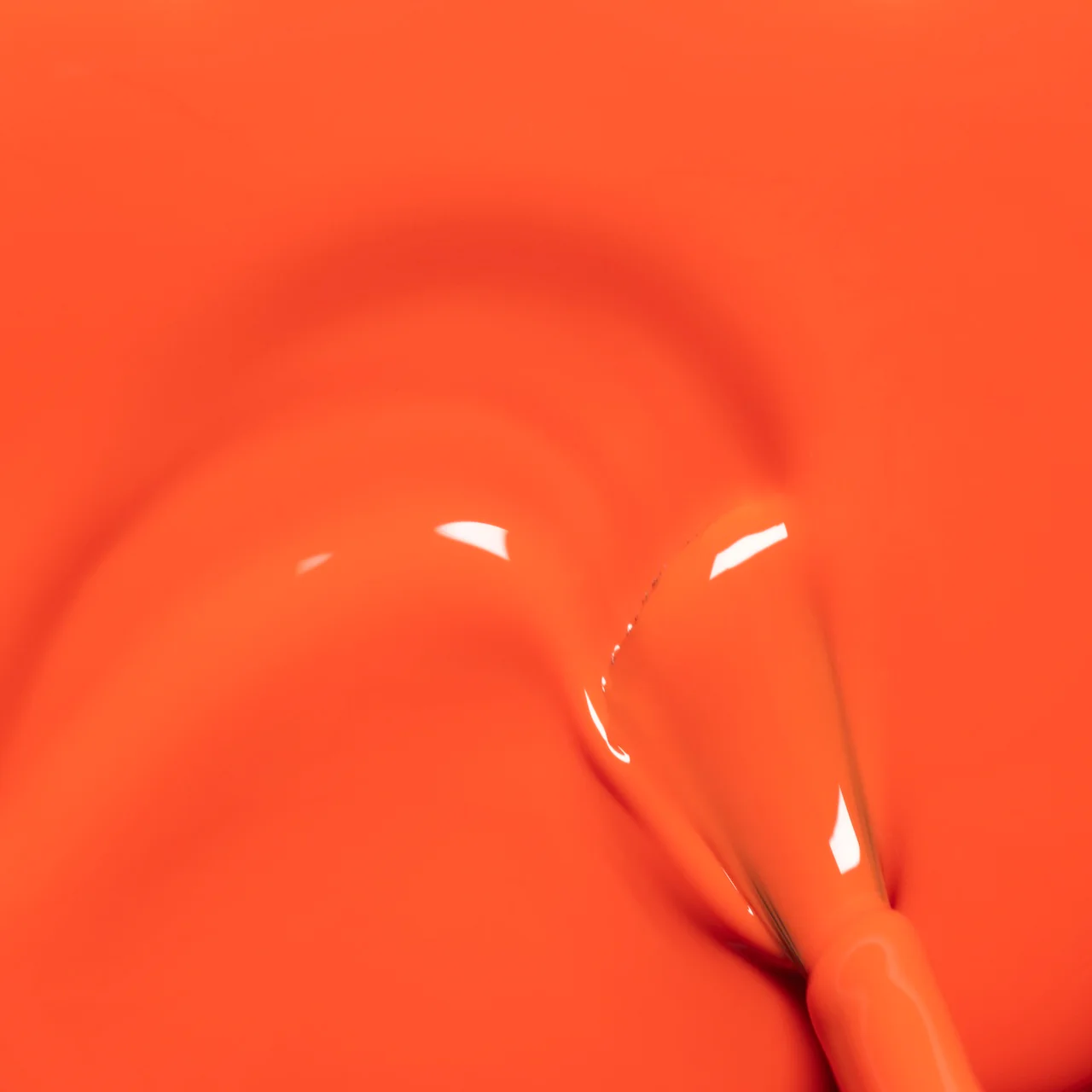 Green Flash - Image 47